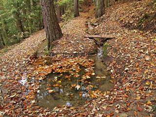 Teplické serpentíny 5 - Majtán Robo