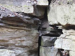 Parkaň 10 - Daniela Tomášiková