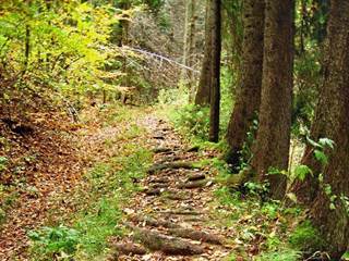 Teplické serpentíny 2 - Majtán Robo