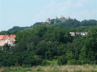 Kaštieľ v Haliči 2 - Darinko