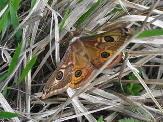 Hrhovský vodopád 4 - Paulina Melková