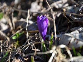 Babiná 6 - Paulina Melková