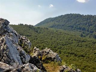 Taricové skaly 2 - Stanislav Doronenko