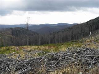 Osadník 2 - Paulina Melková