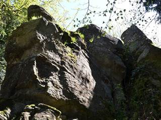 Bachureň 3 - Paulina Melková