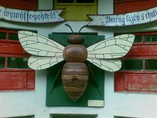 Včelárska paseka 8 - jojo