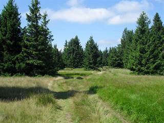 Volovec - Skalisko 8 - Paulina Melková