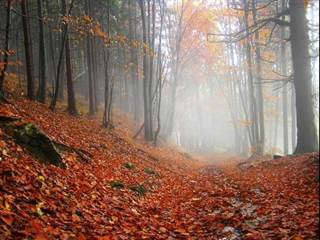 Netopieria jaskyňa 13 - M. Kolárik