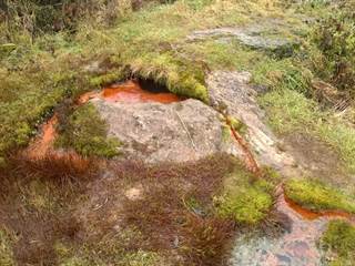 Mičinské travertíny 1 - Palino Peťovský